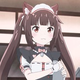 — caiyi !