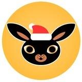 RabBitcoin Airdrop