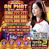 Hệ Thống Hỗ Trợ Tự Động C1 An Phát