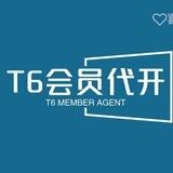 T6飞机会员24小时自助