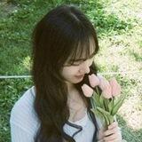 yoya