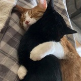 Lean on me, Isabella.