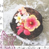 💌🪽 "veloura" charming - love :: 🫖୨ৎ