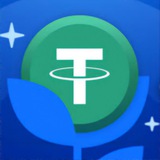 USDT AIRDROP FARM👩‍🌾
