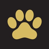 Paw Gold 🐾