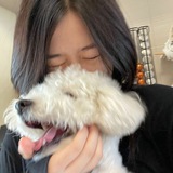 Greyou