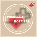 PRUNELLA HOSPITAL