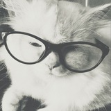 baekgu's call center!