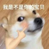 宝宝
