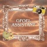 REGIST GFOEL