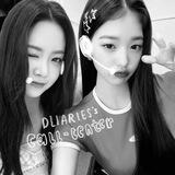 Dliaries call-center!