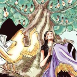 nico robin’s