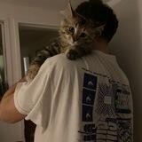 Helper