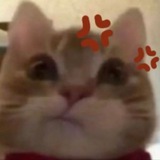 cat—ty.