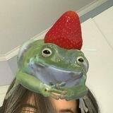 gatau, apa aja