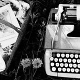potraitist, write’s 𝓪 -dours, 4u.. 📋♥︎