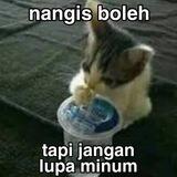 Assistant ael.