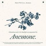 Anemone Customer Service 𑁍