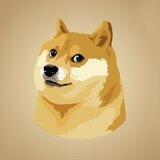 Doge auto-pay