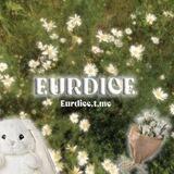 Eurdice Store
