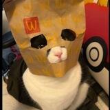 联系冬瓜