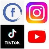 بوت تحميل انستكرام، تيك توك
