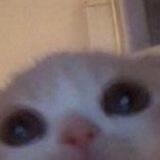 ji