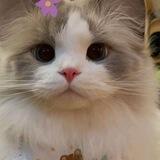 ૮꒰ ⸝⸝ . ⸝⸝୨୧꒱ა