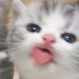 alla