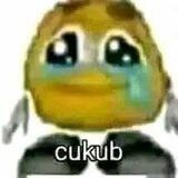 505