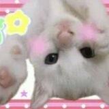 ʚꪱ࣪ɞ