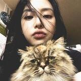 kaee 🐈