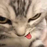 Nala