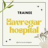 Traine havregar