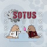 Area Sotus