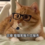 AG凯发嬛嬛专属机器猫
