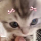 KiSSy