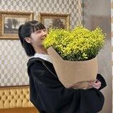 hikari.