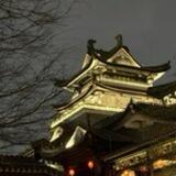 阿聪双向