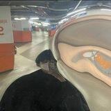 Parun
