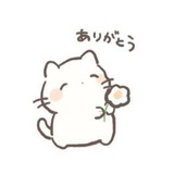 PeCy