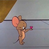 Jeri mouse