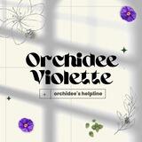 Orchidee Violette