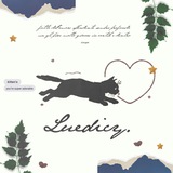 Luedicy chatter-box! ౨ৎ