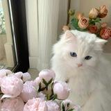 ฅ^._.^ฅ