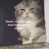 jisung gf