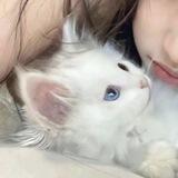 Mou