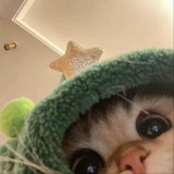 nyanyaaaa