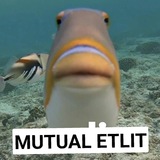 ETLITE'S MUTUAL