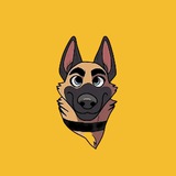 BROCCOLI | CZ's Dog